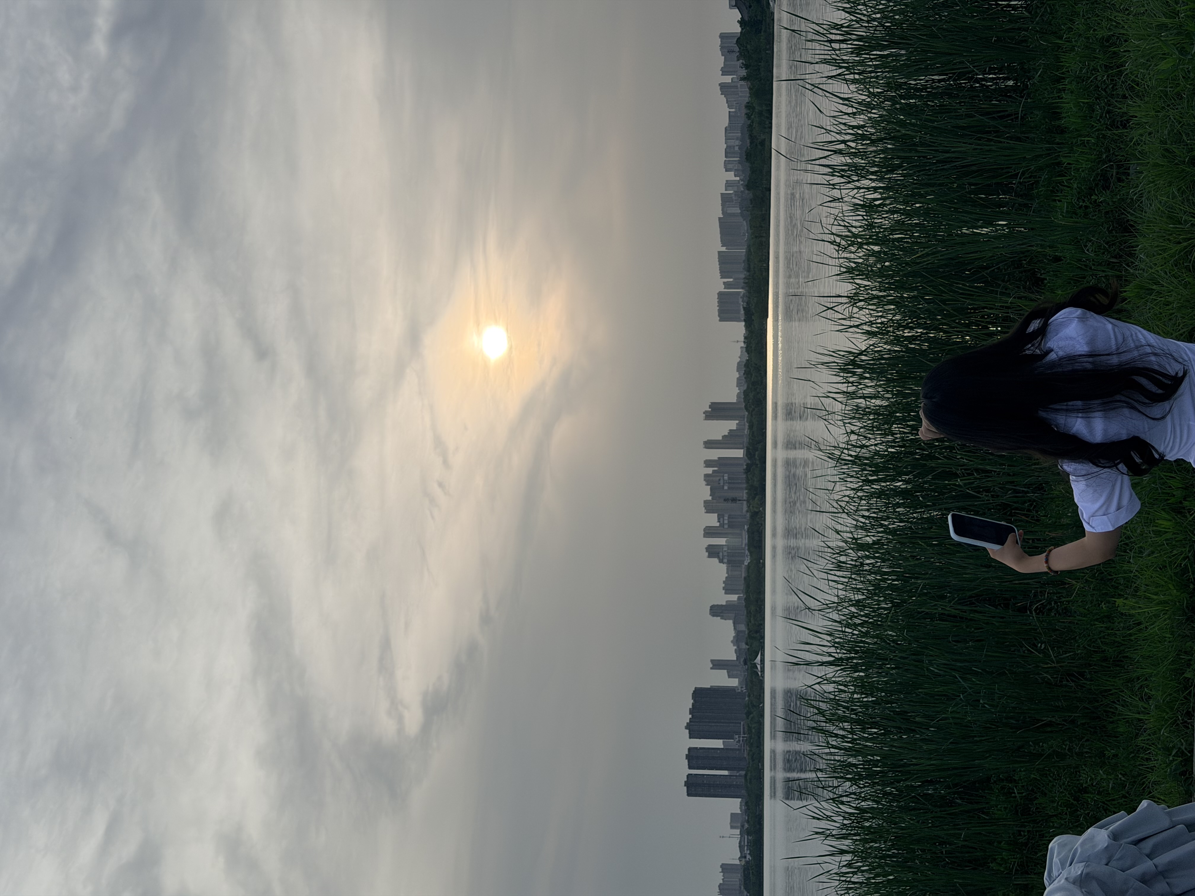 ………… - 图片 3